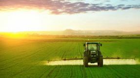 Есхн – единый сельскохозяйственный налог: ключевые моменты